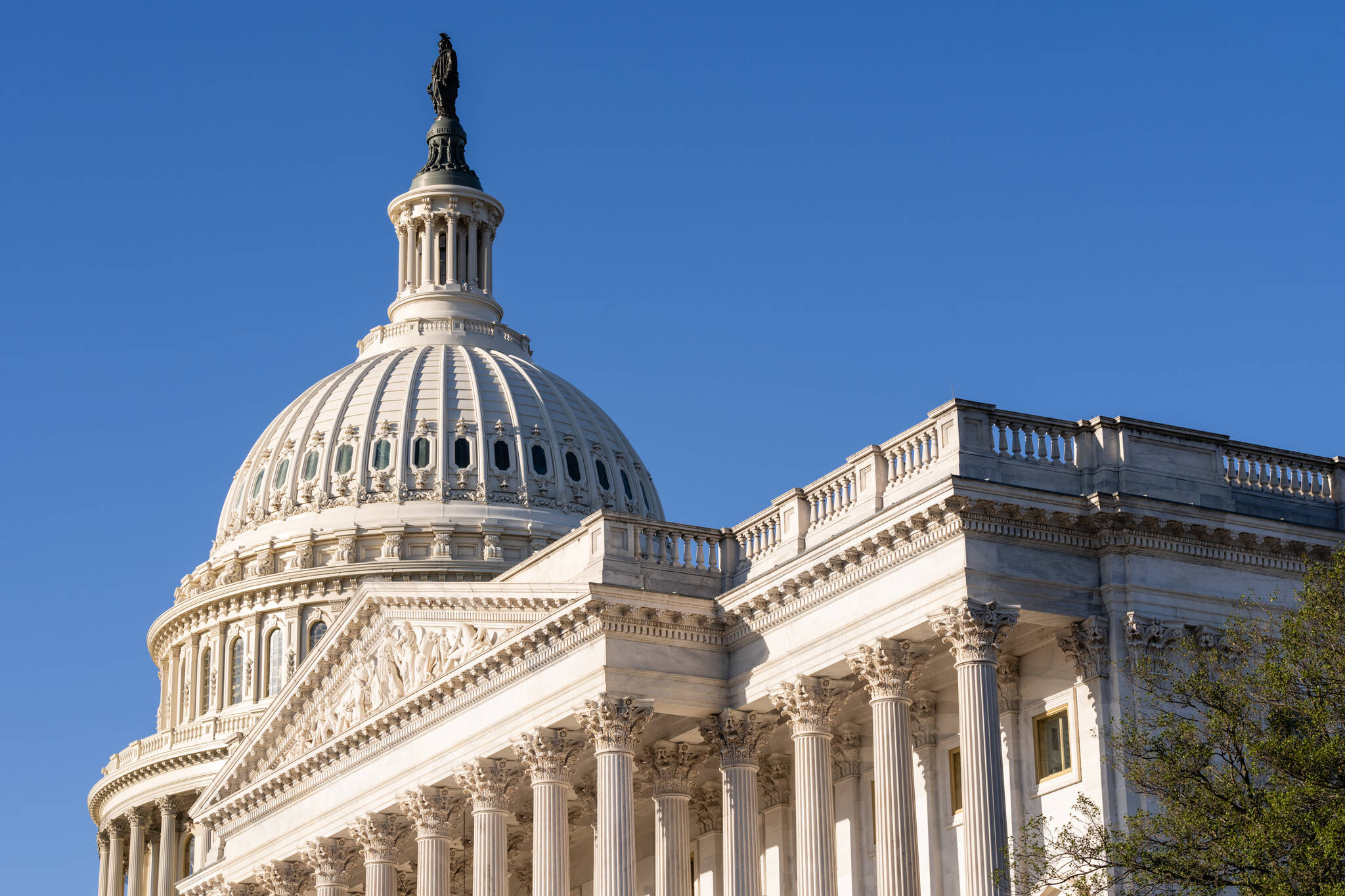 The U.S. Capitol in Washington, March 25, 2025. (Eric Lee/The New York Times)