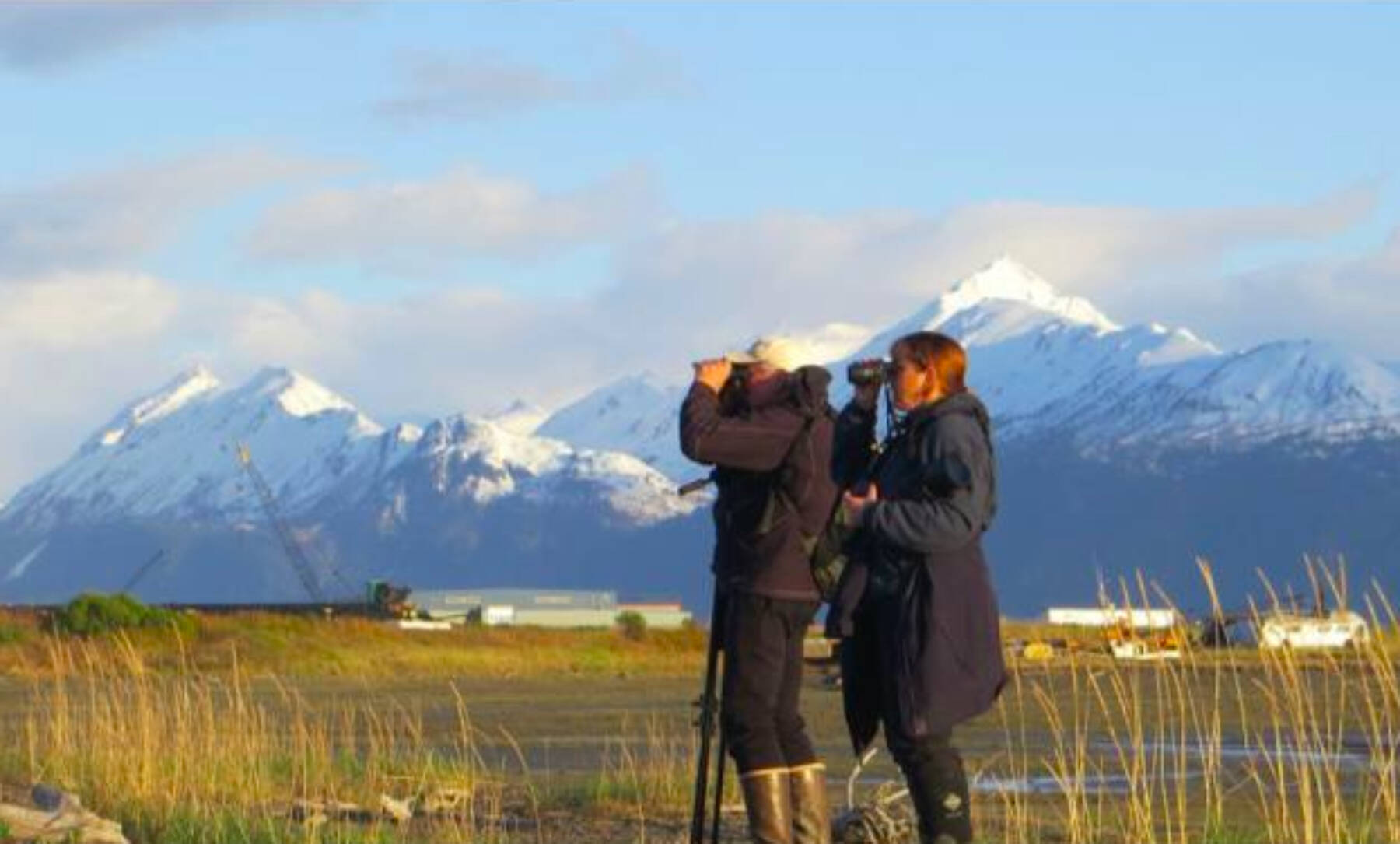 Two volunteers monitoring shorebirds on the Homer Spit in May 2016. (Photo courtesy of Kachemak Bay Birders)