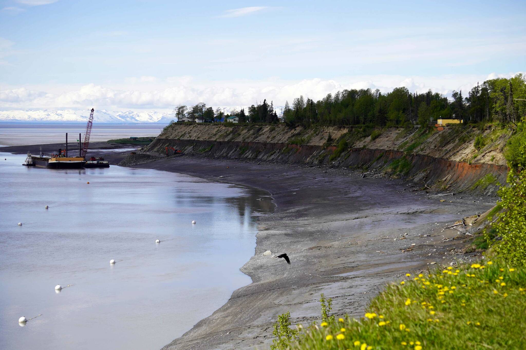 The barge, crane, and first pile of rock for the Kenai Bluff Stabilization Project is seen during a break in work at the bank of the Kenai River in Kenai, Alaska, on Tuesday, May 27, 2025. (Jake Dye/Peninsula Clarion)