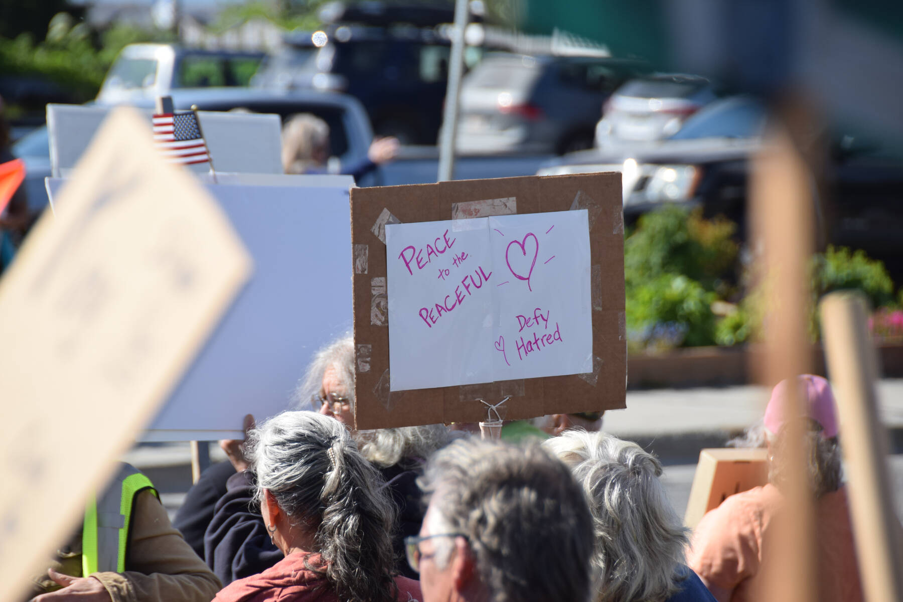 A demonstrator holds up a sign during the “No Kings” protest on Saturday, June 14, 2025, at WKFL Park in Homer, Alaska. (Chloe Pleznac/Homer News)