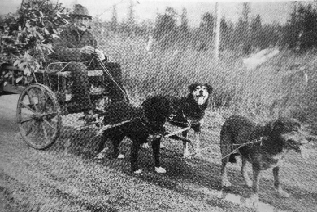 Steve Melchior: Treasured peninsula pioneer with a sketchy past — Part 2
