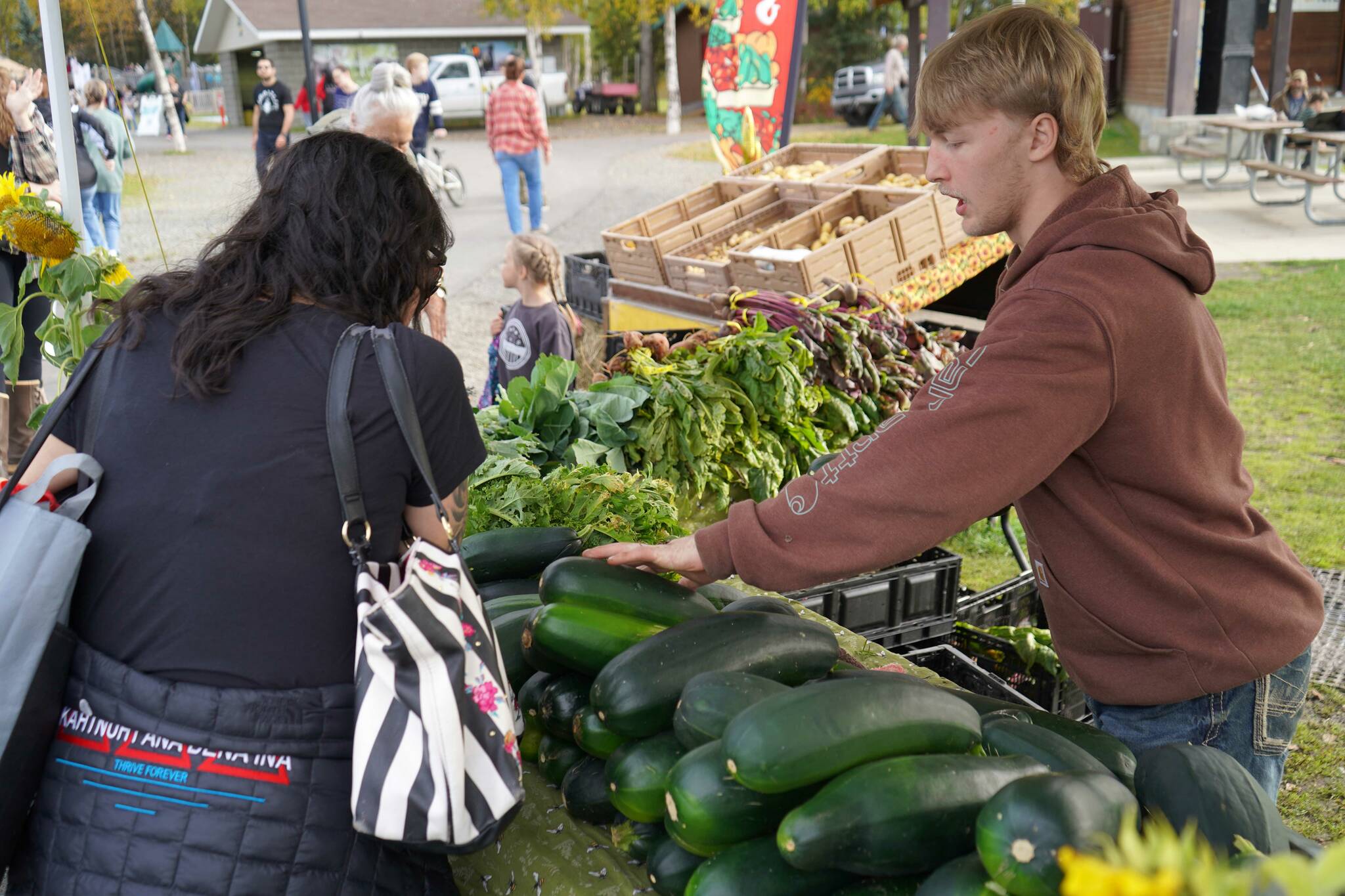 Shoppers browse locally grown produce during the Harvest Moon Local Food Festival at Soldotna Creek Park in Soldotna, Alaska, on Saturday, Sept. 20, 2025. (Jake Dye/Peninsula Clarion)