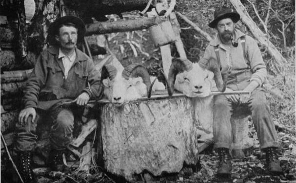 Photo from Marshall Sculls 1914 memoir, Hunting in the Arctic and Alaska
Ferdinand Fritz Posth, left, poses with two Dall sheep heads and fellow guide/packer William Wild Bill Dewitt at a cabin on upper Killey River in the early 1910s. When King David Thurman was arrested for a game violation in 1911, Posth testified against him, but some jurors discounted his testimony and declined to convict Thurman.
