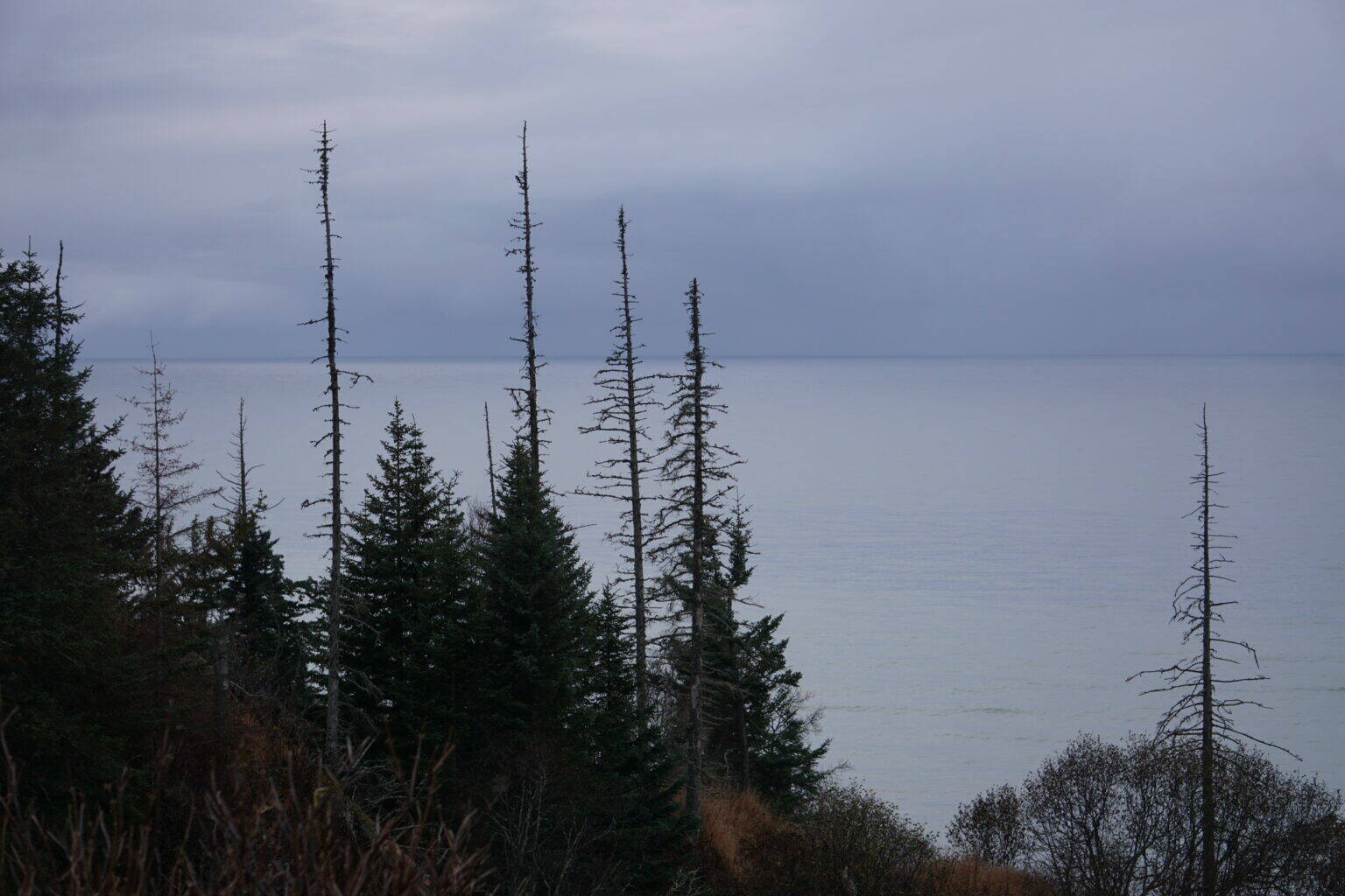 Cook Inlet near Clam Gulch is seen on Oct. 23, 2025. (Photo by Yereth Rosen/Alaska Beacon)