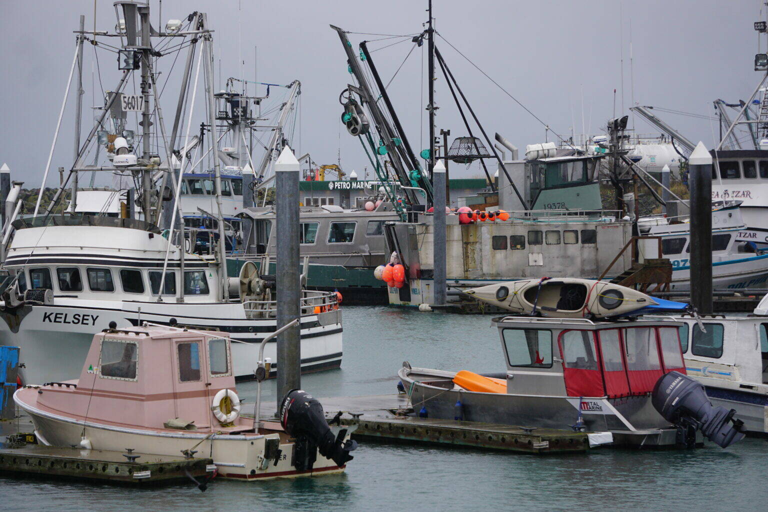 Commercial fishing and recreational vessels are docked in the Homer harbor on Oct. 23, 2025. The commercial fishing industry endured a series of challenges over the year, some of them imposed by the new Trump administration. (Photo by Yereth Rosen/Alaska Beacon)