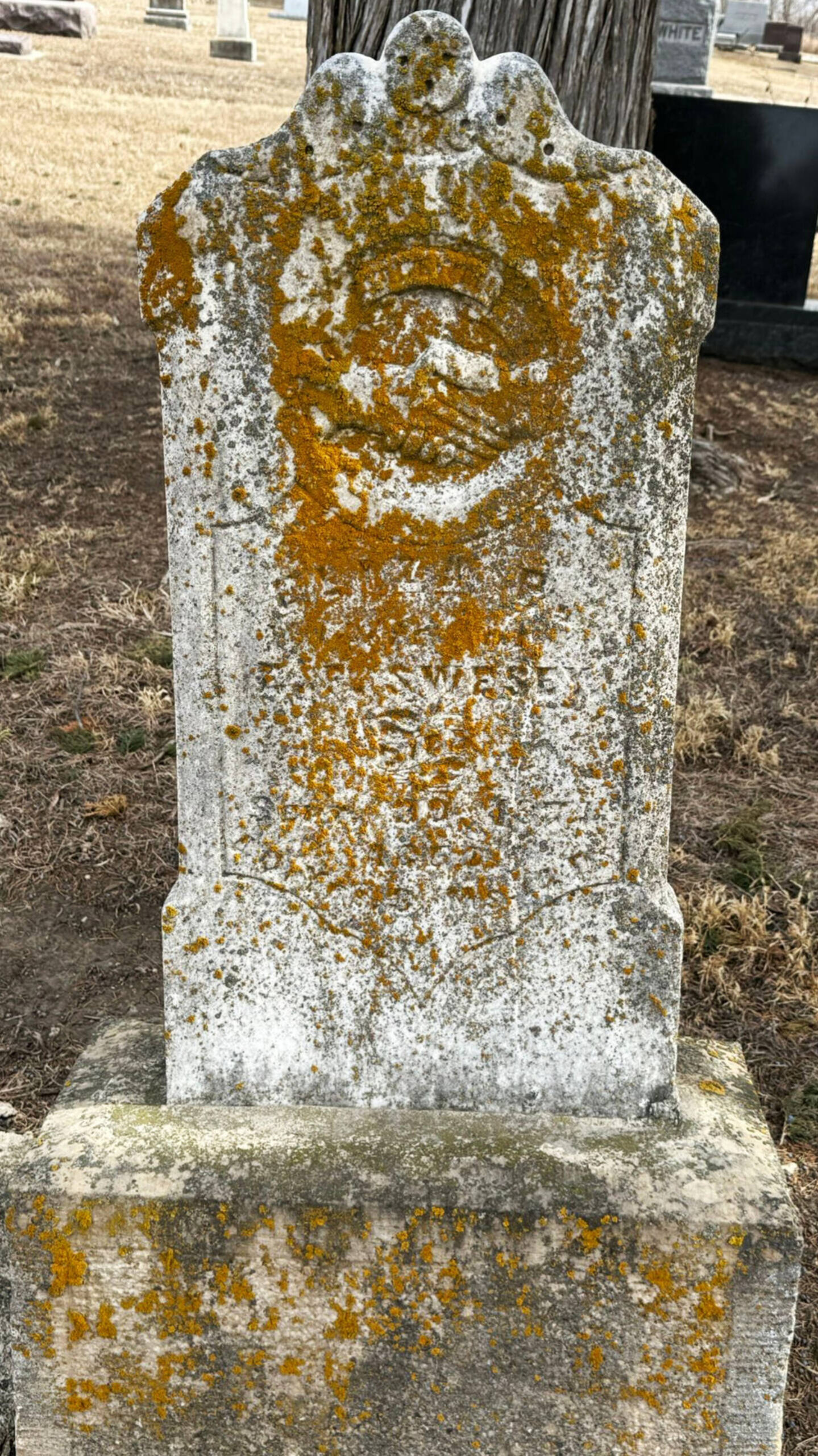 This is the gravesite of Ben Sweseys mother, Eliza, in Vermillion, South Dakota. (Photo from findagrave.com)