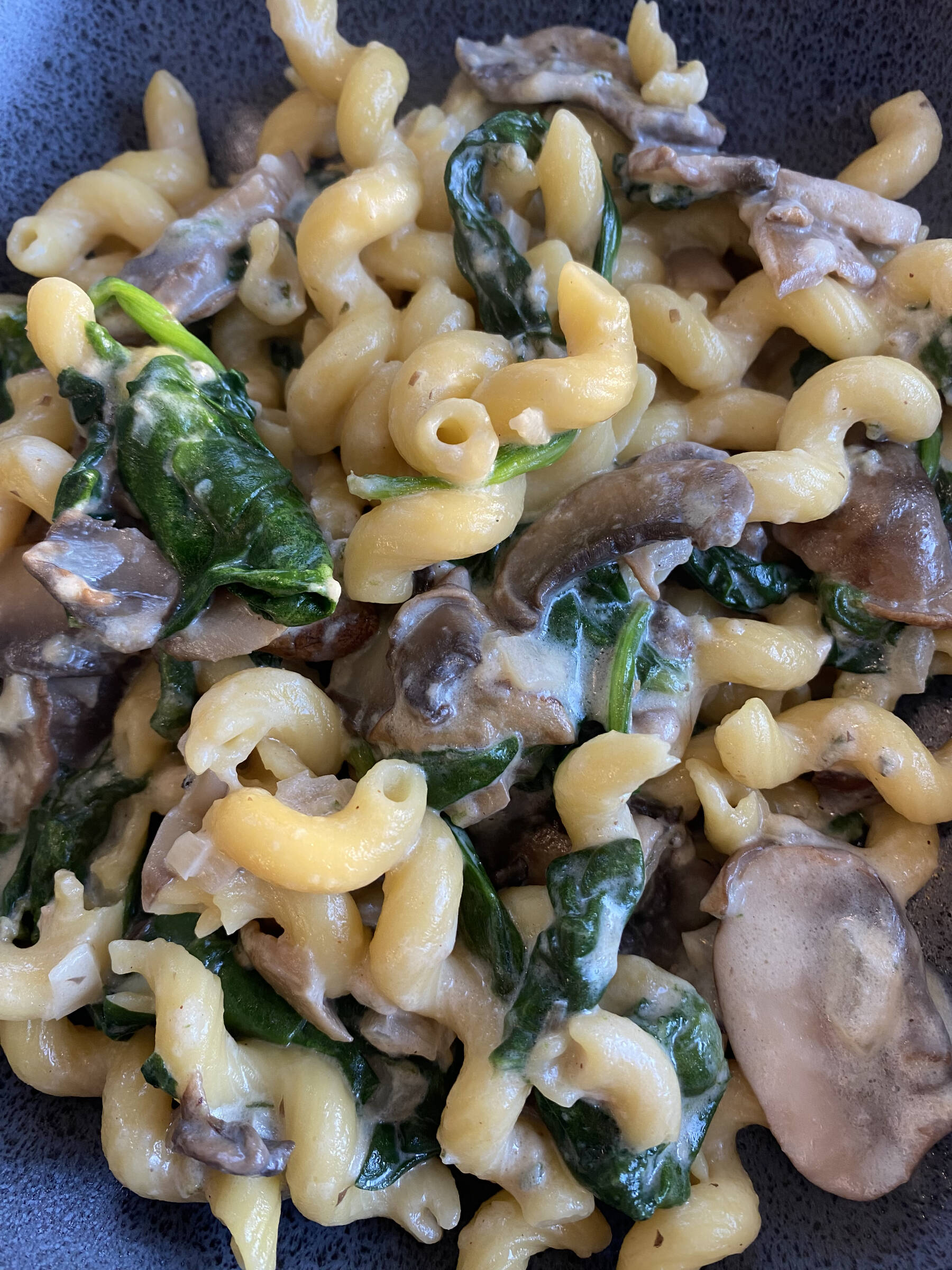 This dish is creamy, rich and comforting, and gets dinner time done fast. Photo by Tressa Dale/Peninsula Clarion