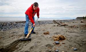 Kenai Central High School sophmore Riley Graves demonstrates a magnetic rake he built to pick up buried metallic debris on Kenais north beach on Wednesday, June 20, 2018 in Kenai, Alaska. (Photo by Ben Boettger/Peninsula Clarion)