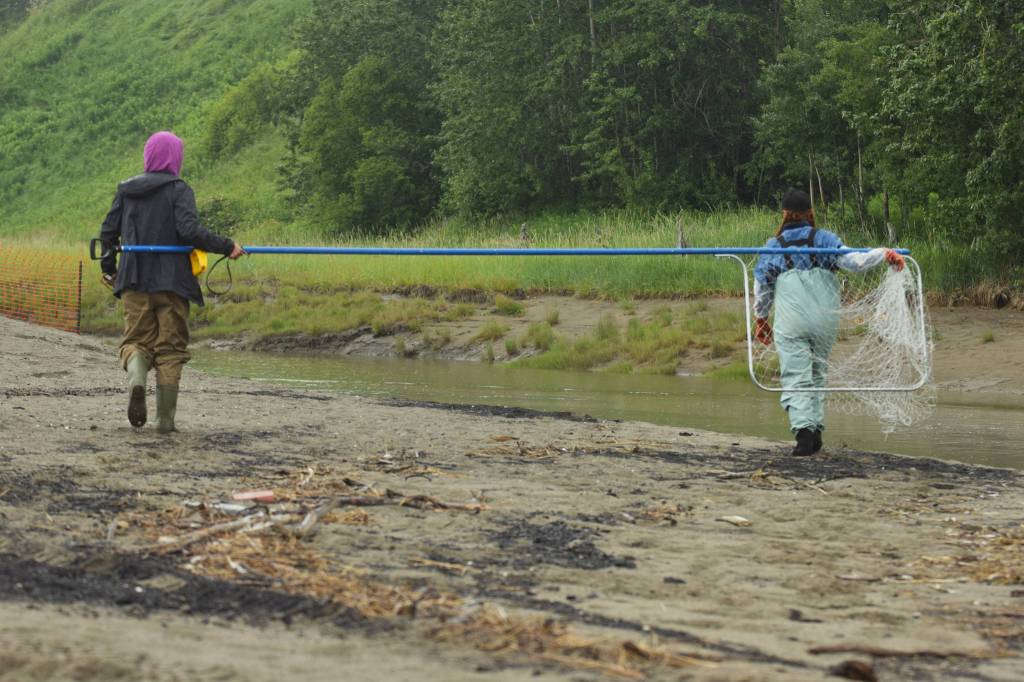 Lorna and Alissa Brotherwood, right, carry a dipnet on Kenai Beach during opening day of dipnetting season on Tuesday, July 10, 2018, in Kenai, Alaska. The family travels from Wasilla annually to participate in the harvest. (Photo by Erin Thompson/Peninsula Clarion)