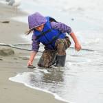 A young dipnetter plays in the sand on Kenai Beach on Tuesday, July 10, 2018, in Kenai, Alaska. (Photo by Erin Thompson/Peninsula Clarion)