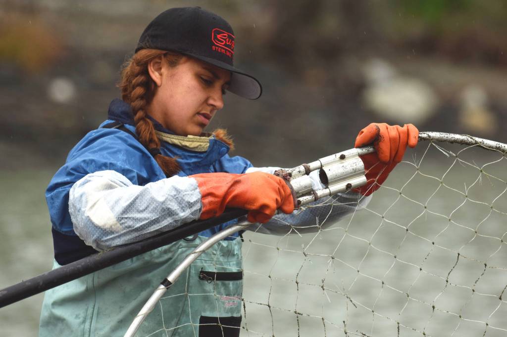 Wasilla resident Alissa Brotherwood preps a dipnet on Kenai Beach during opening day of dipnetting season on Tuesday, July 11, 2018, in Kenai, Alaska. Brotherwood said coming to the dipnetting opening in Kenai is a family tradition. The family smokes and jars salmon caught during the dipnetting season for subsistence. (Photo by Erin Thompson/Peninsula Clarion)
