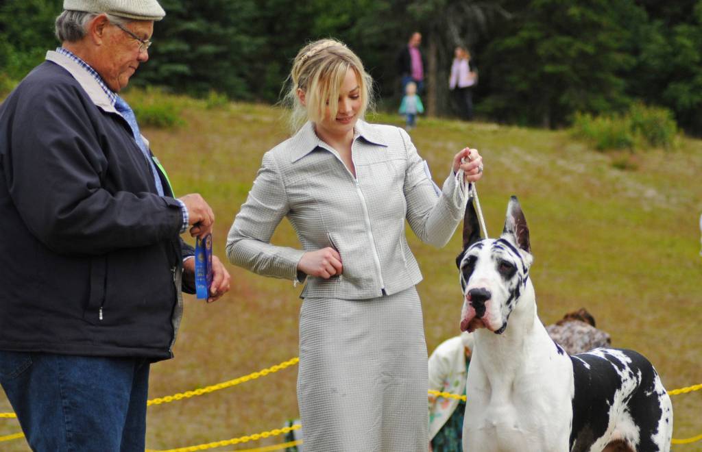 A trainer holds her Great Dane for a picture competing in the Kenai Kennel Clubs annual dog show, obedience and agility trials on Saturday, July 14, 2018 in Soldotna, Alaska. Dog owners come from all over the state to take part in the events each year. (Photo by Elizabeth Earl/Peninsula Clarion)