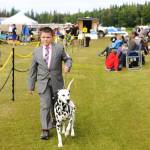 A trainer walks his Dalmation along the edge of the field at the Kenai Kennel Clubs annual dog show, obedience and agility trials on Saturday, July 14, 2018 in Soldotna, Alaska. Dog owners come from all over the state to take part in the events each year. (Photo by Elizabeth Earl/Peninsula Clarion)