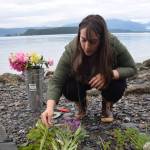 Melissa Garcia Johnson separates foraged wildflowers at a beach on North Douglas Highway. (Photo by Kevin Gullufsen/Juneau Empire)
