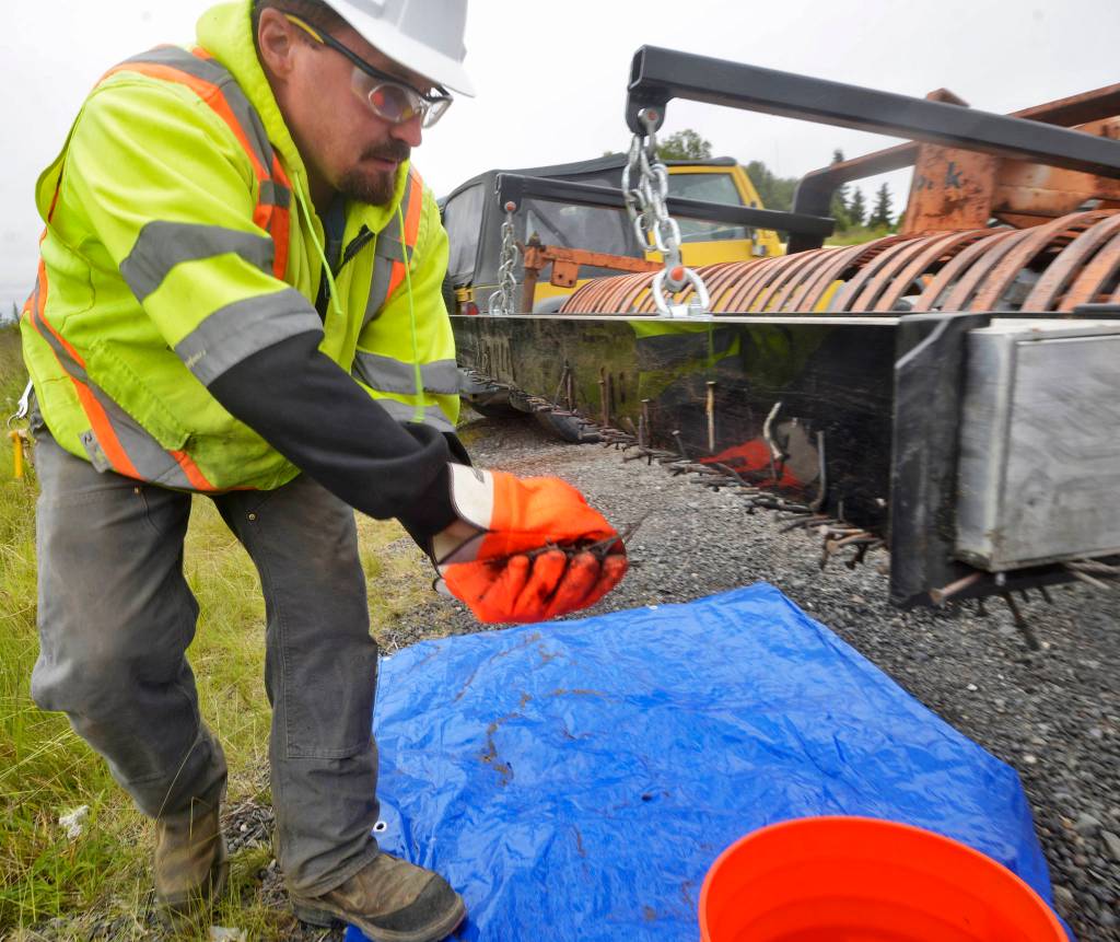 Kenai Parks and Recreation employee Jacob Hart removes nails he picked up from Kenais south beach with a magnetic bar mounted behind a tractor rake on Friday, July 20, 2018. Hart has been sweeping the beachs each evening since the July 10 start of the dipnet fishery, using the magnet rake to concentrate on areas where pallet bonfires have occurred. As of Friday, he estimated hes picked up about 15 pounds of metal debris. (Ben Boettger/Peninsula Clarion).