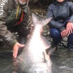Wet and Wild Alaska Fishing owner and guide Jeff Moore (left) and Tobias Hindman of Iowa (right) pose with the king salmon Hindman caught and released on the Kenai River on Tuesday, July 24, 2018 on the Kenai River, Alaska. The king salmon measured 50 inches long and 34 inches in girth, calculating out to about 78 pounds, Moore said. The king gave Hindman a fight, jumping in and out of the water six times and going under the boat numerous times before he landed and released it. (Photo courtesy Jeff Moore)