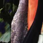 Photo by Kelly Sullivan/ Peninsula Clarion  Cinderella's Closet has so far paired 392 girls with prom dresses over the last four years.