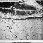 'We didn't get dinner that night'