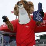 Snow Squall holds as 23rd St. Patrick's Day parade passes by