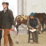 Photo by Kelly Sullivan/ Peninsula Clarion Sue Robinson, the judge for the 4H Horse Contest, had to sit during the competiton making it even harder to battle the morning temperatures, Friday, April 11, at the Solid Rock Bible Camp.