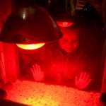 Photo by Rashah McChesney/Peninsula Clarion  Leroy Tomrdle, 4, watches several baby chicks at the Kenai Peninsula 4-H booth during the 35th annual Home Show Sunday April 13, 2014 in Soldotna, Alaska.