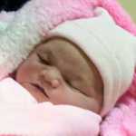 Community News and Notes