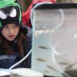 Photo by Rashah McChesney/Peninsula Clarion  Malaina Maal, 8, a third-grade student from Soldotna Montessori, tries to identify several species of fish inside of an aquarium set up at the Alaska Department of Fish and Game's annual Salmon Celebration Tuesday May 6, 2014 at the Johnson Lake Campground in Kasilof, Alaska.
