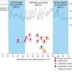 Radiocarbon ages for mammal fossils found on the Kenai Peninsula plotted against the late Pleistocene glacial chronology. Infinite ages represent the most recent times that the dated animals lived on the peninsula.