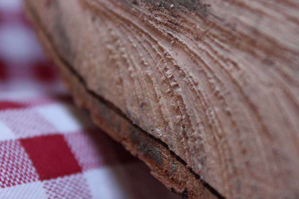 Photo by Kelly Sullivan/ Peninsula Clarion Only half of Shaya Straw's third grade Soldotna Middle School Elementary class could fit in the old wooden buiilding at a time, Thursday, May 8, at the Soldotna Historic Post Office.