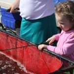 Perfect spring weekend greets 29th Sport Rec & Trade Show