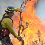 Photo by Rashah McChesney/Peninsula Clarion  Suwannee Chapman, 8, watches one of her family's goats eat Thursday May 22, 2014 at the Soldotna Rodeo Grounds where the animals are being temporarily housed as crews fight the Funny River Wildfire which threaten's Chapman's Funny River home.
