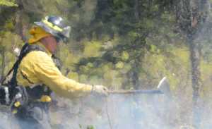 Photo by Rashah McChesney/Peninsula Clarion Josh Thompson, firefighter with Central Emergency Services on the Kenai Peninsula, throws brush into a fire along Funny River Road Thursday May 22, 2014 as the group works to control the burning Funny River wildfire which has consumed more than 63,000 acres of Kenai National Wildlife Refuge land.