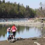 First Kenai River Cleanup yields tons of trash