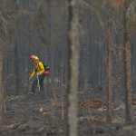 Photo by Rashah McChesney/Peninsula Clarion  Rob Porter, firefighter for Kachemak Emergency Services works to clear a line about 100 feet into a fire line on Funny River Road Tuesday May 27, 2014 in Soldotna, Alaska. Residents who were evacuated from the area have been allowed to return and firefighters are working to put out smoldering piles and burn potential fuel sources to lessen the chance of a hot spot turning into a fire. The area, near mile 9 of Funny River Road, was caught in the Funny River Horse Trail wildfire which has burned 182,209 acres of Kenai National Wildlife Refuge land.