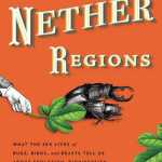 You just got bitten again