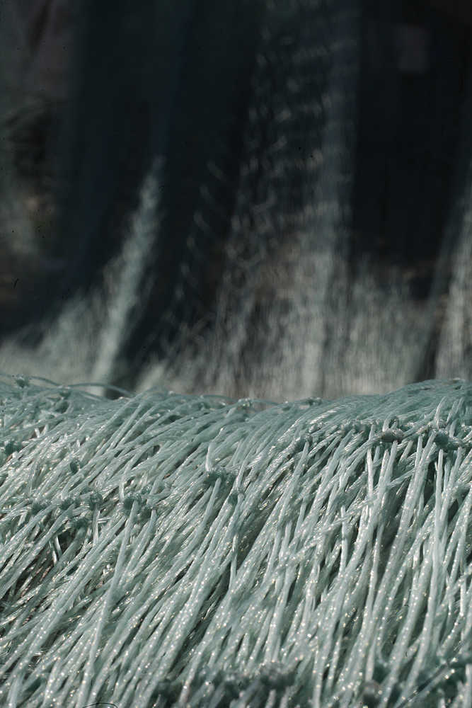 Photo by Rashah McChesney/Peninsula Clarion Several feet of gillnet hung over sawhorses at the Snug Harbor Seafoods receiving dock Thursday June 19, 2014 in Kenai, Alaska. Commercial drifters had their first opening Thursday and will fish regular 12-hour Tuesday and Thursday openings Cook Inlet-wide through early July.