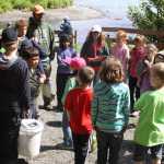 Fur, Fins, Feathers, Flowers & Fun at Soldotna Creek Park
