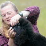 Photo by Rashah McChesney/Peninsula Clarion  Andy Dowling brushes Strider, a collie, before competing with the dog Friday July 11, 2014 during the Kenai Kennel Club's annual dog show in Soldotna, Alaska.