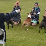 Photo by Rashah McChesney/Peninsula Clarion  Tammy Dohmen runs Rev, a rough collie, during the Kenai Kennel Club's annual dog show Friday July 11, 2014 in Soldotna, Alaska.