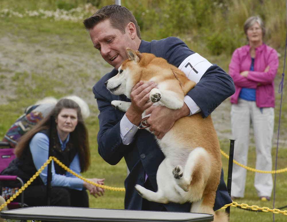 Photo by Rashah McChesney/Peninsula Clarion  Christie Janusiewicz, of Anchorage, kisses her clumber spaniel Thermal whom she affectionately calls "hot lips, hula hips" during the Kenai Kennel Club's annual dog show Friday July 11, 2014 in Soldotna, Alaska.