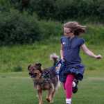Photo by Rashah McChesney/Peninsula Clarion  Thermal, a clumber spaniel, is also known as "hot lips, hula hips, to his owner Christie Janusiewicz, of Anchorage, who groomed the dog during the Kenai Kennel Club's annual dog show Friday July 11, 2014 in Soldotna, Alaska.