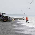 Photo by Rashah McChesney/Peninsula Clarion Commercial set gillnetters in the Kenai and East Foreland sections of the east side setnet fishery in the Cook Inlet had their first opening Wednesday July 9, 2014  alongside other setnetters and the commercial drift gillnet fleet during a 12-hour fishing period.