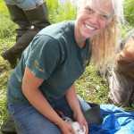 Biological intern Bri Kilbourne inverts a cloaca to determine sex of a Greater White Fronted Goose while banding it. Photo by Janel Mayo