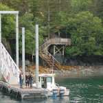 Kim McNett kayaks around the new dock at the Center for Alaskan Coastal Studies Peterson Bay Field Station. The old dock and staircase is in the background.