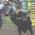 A preview of this year's Progress Days