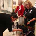 Photo by Kelly Sullivan/ Peninsula Clarion Kathy East's brought her certified therapy animal named Ben to the annual showcase of Animal Assisted Therapy animals, Wednesday, July 23, at Central Peninsula Hospital.