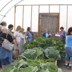 High Tunnel gardening featured at Food Bank Farmers Market