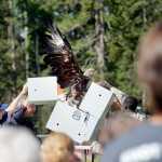 Thousands descend on Soldotna for annual Progress Days festivities