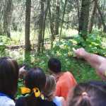 Photo by Kelly Sullivan/ Peninsula Clarion Kenai Wildlife Refuge Park Ranger Leah Eskelin points out a red-backed vole to the group of 15 in the Family Explorer Program, Saturday, August 2, 2014, on the Keen-Eye Nature Trail in Soldotna.