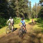Contributed photo by Tsalteshi Trails Association The trails were full for the fourth Salmon Cycle Series race Thursday July 31, 2014 on the Tsalteshi Trails in Soldotna, Alaska.